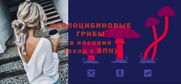 прущая мука Бородино
