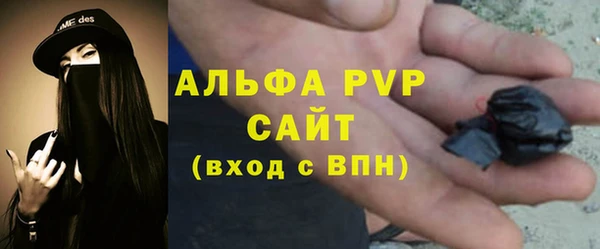 прущая мука Бородино