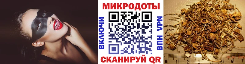 Галлюциногенные грибы мицелий  Купить закладки  Дмитров 